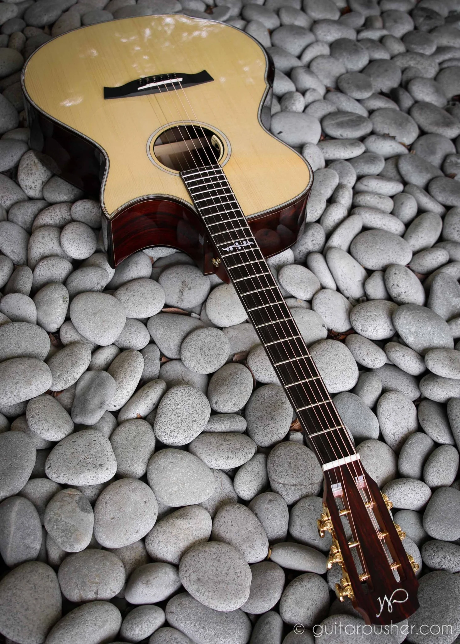 Dave Dimaunahan Custom Shop Maestro Singa-CO - Image 9
