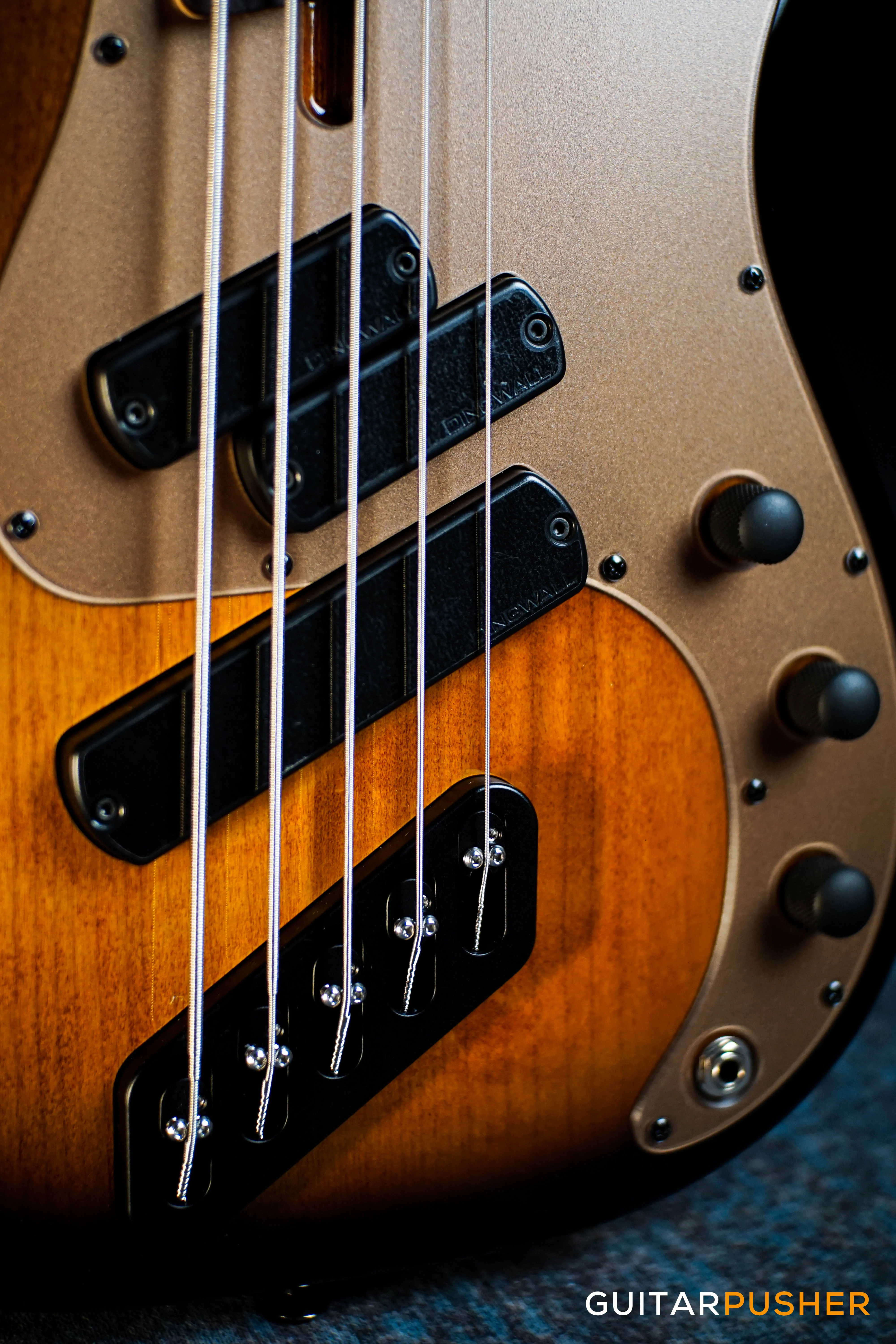 Dingwall SP1 5-String Fanned Fret Bass - Gloss Vintageburst w/ Matte Coco Gold Pickguard - Image 4