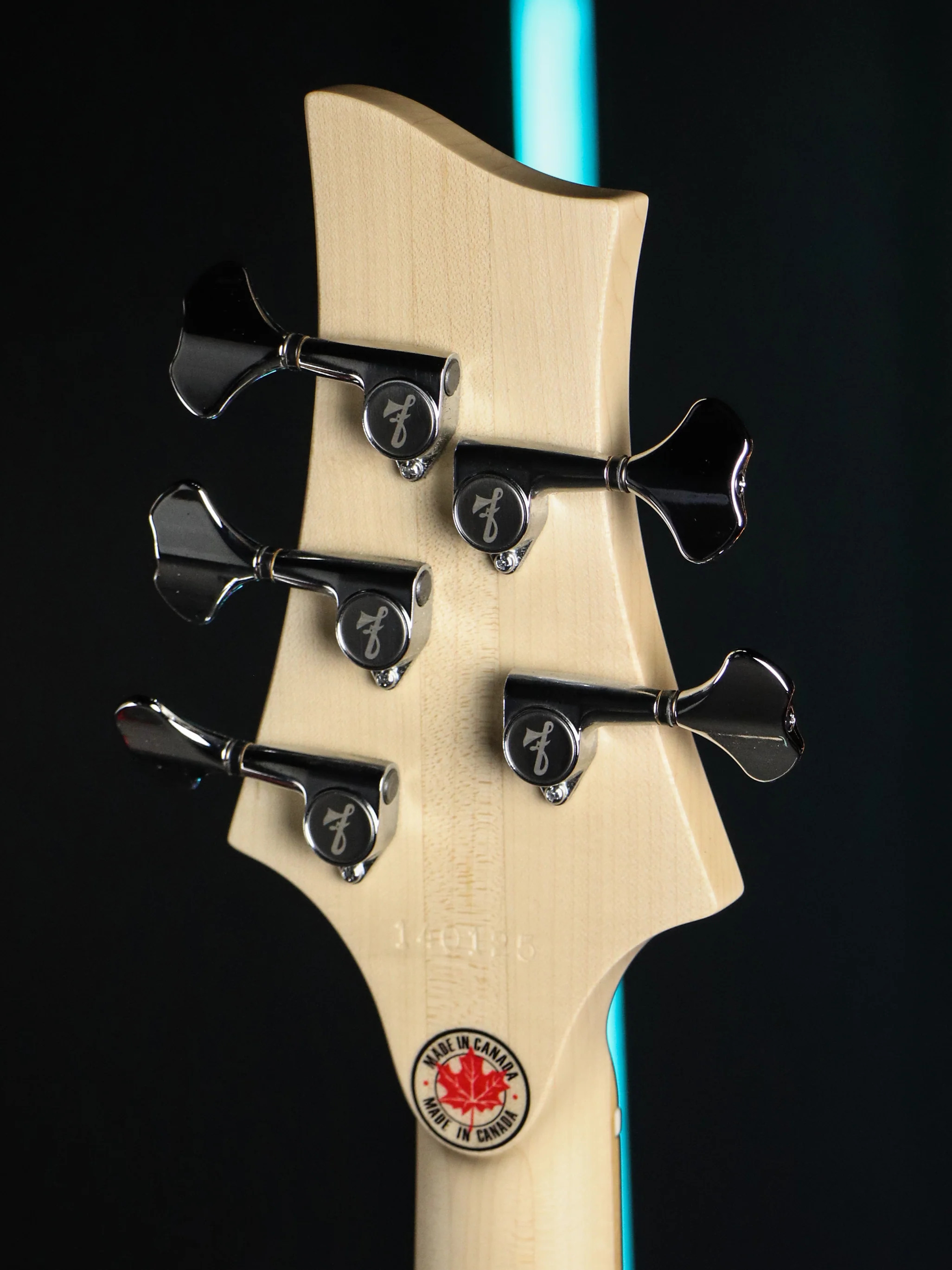FBASS BN5 5-String Bass (Aqua Fade Gloss) - Ash Body, Maple Fingerboard - Image 6