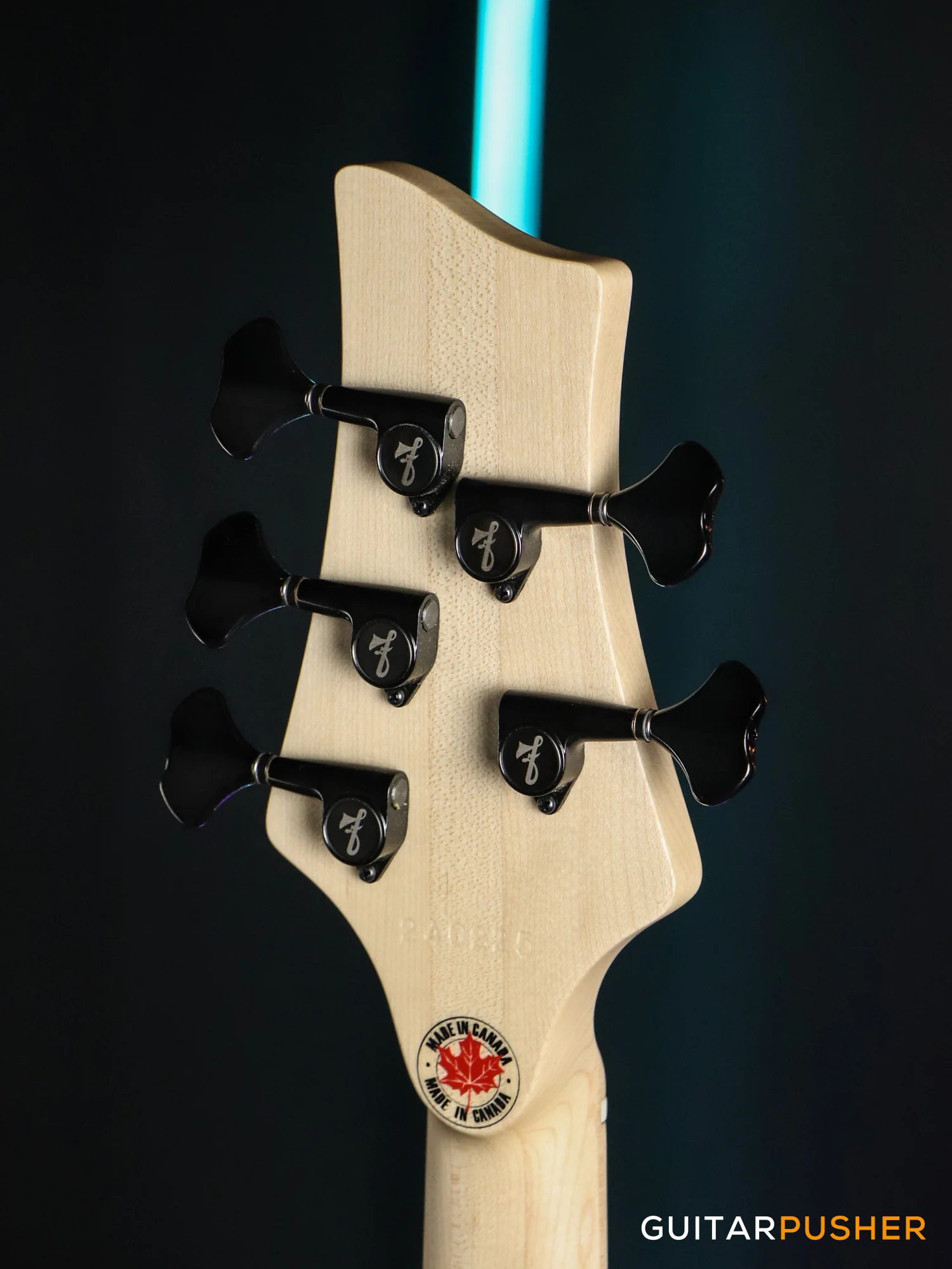 FBASS VF5-J 5-String Bass (Black Matte) - Ash Flat Top Body, Maple Fingerboard - Image 7