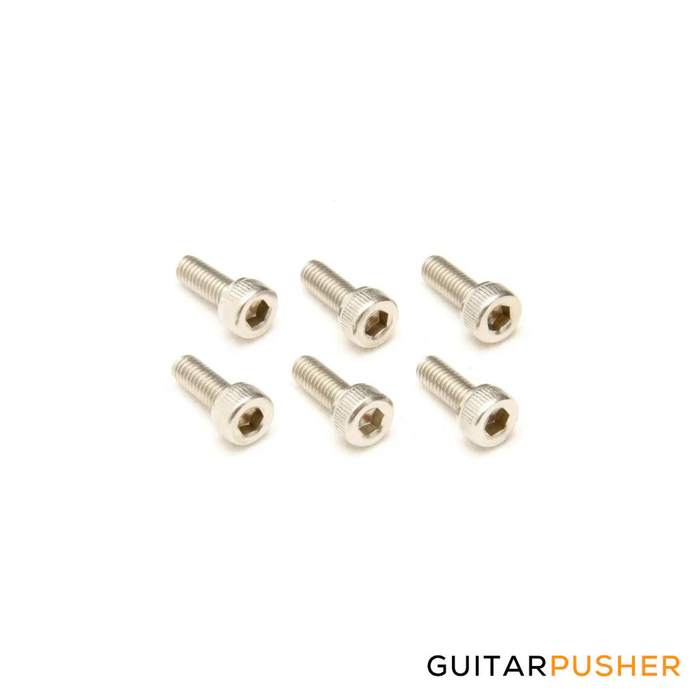 Floyd Rose Stainless Steel Saddle Mounting Screws Set (6 pcs.)