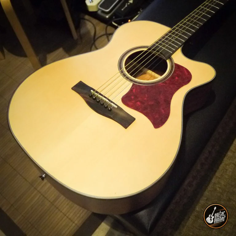 GP E50 Red Tortoise Pickguard - Image 2