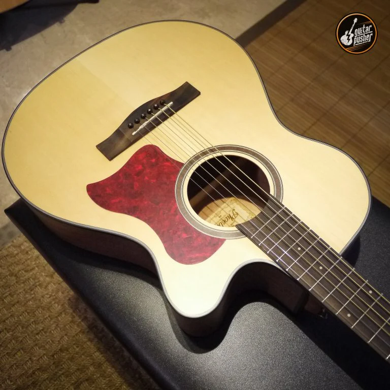 GP E50 Red Tortoise Pickguard - Image 3