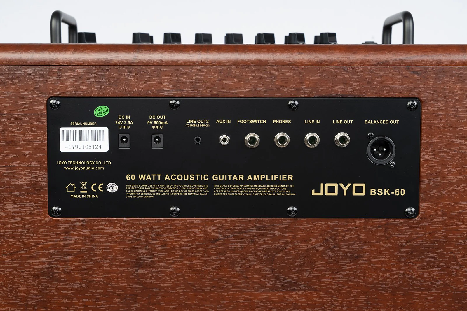 Joyo BSK-60 Busking Amplifier - Image 5