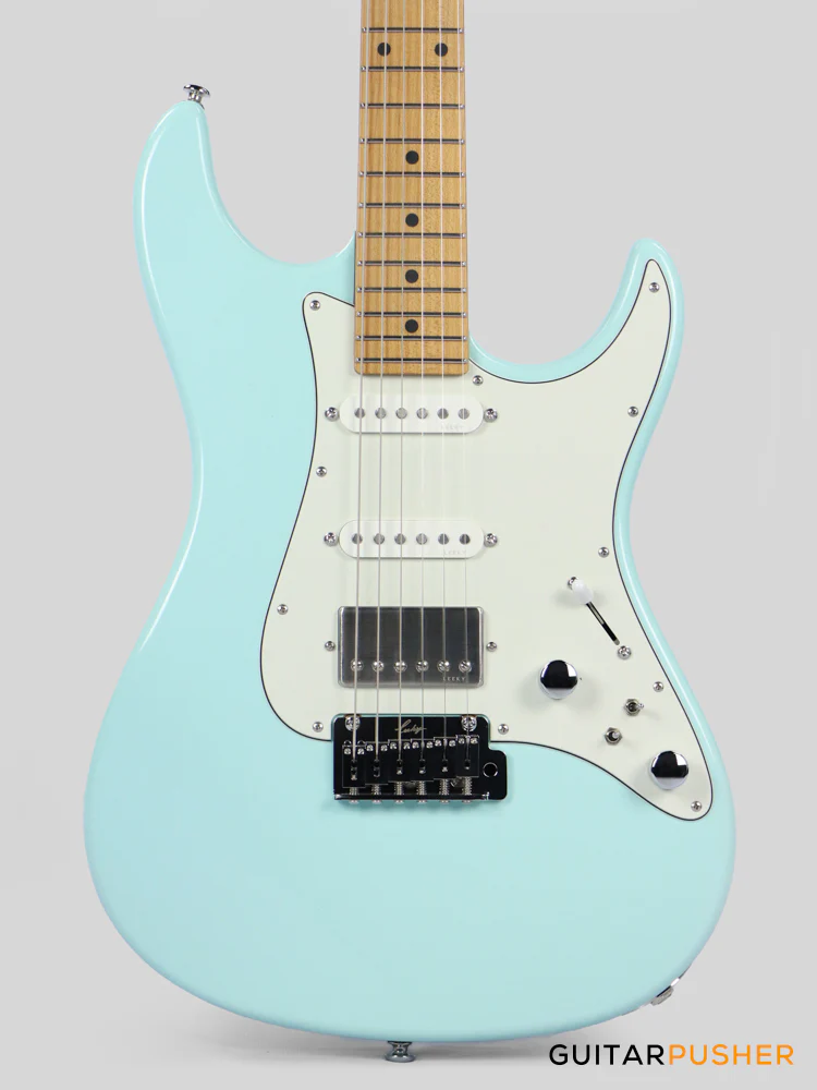 BER Months Guitar Sale - 2024