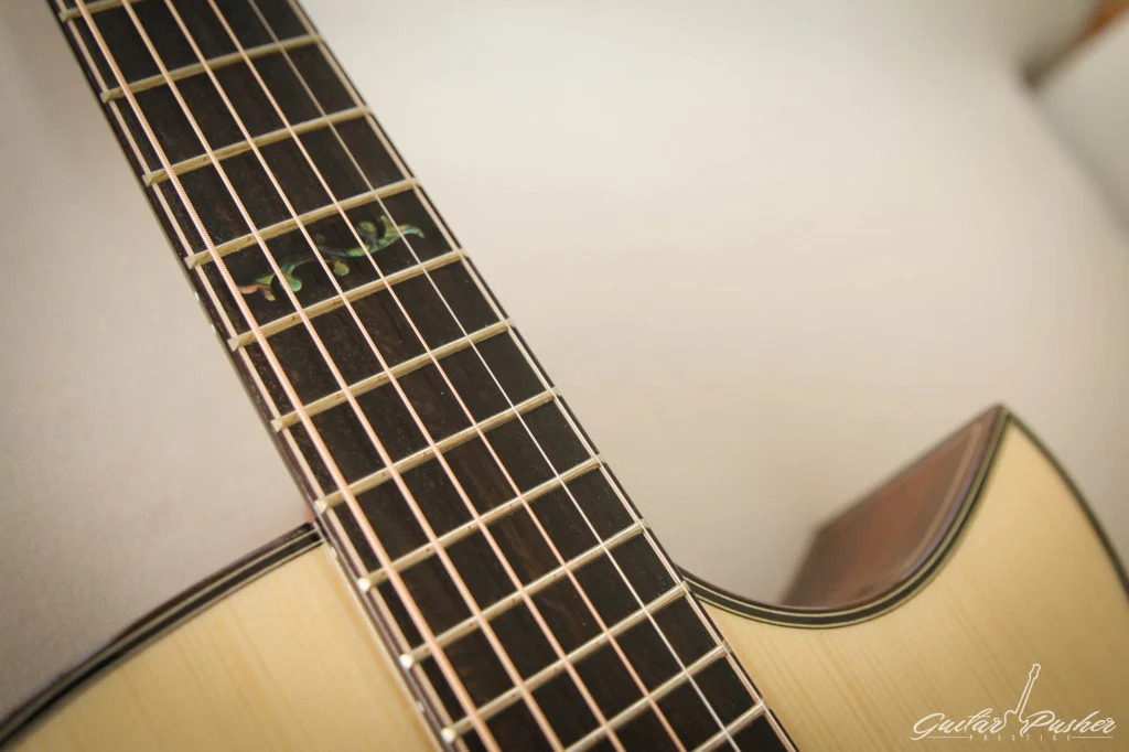 Maestro Custom Series Victoria-MR (Madagascar Rosewood) CSBe - Image 6