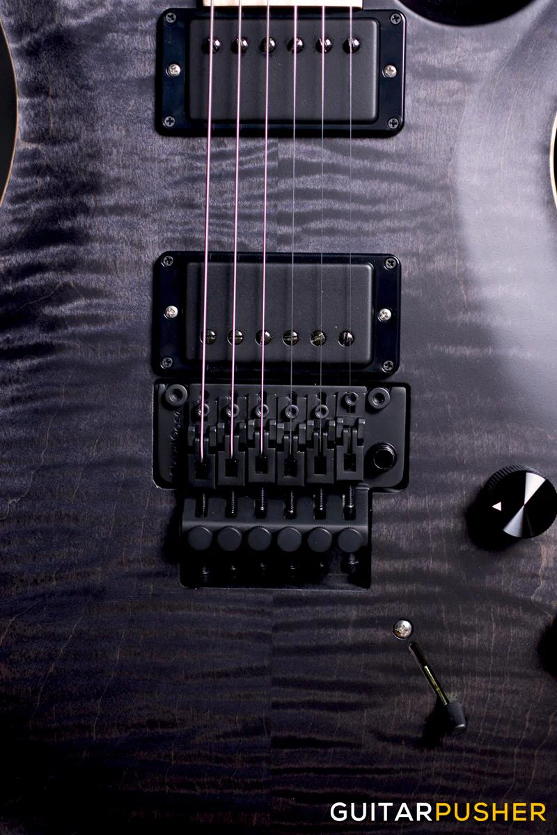 PRS Guitars USA CE 24 Floyd Dustie Waring Signature Electric Guitar (Grey Black) - Image 8