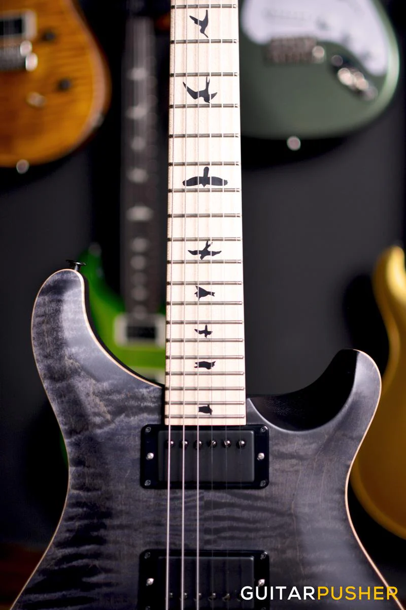 PRS Guitars USA CE 24 Floyd Dustie Waring Signature Electric Guitar (Grey Black) - Image 9