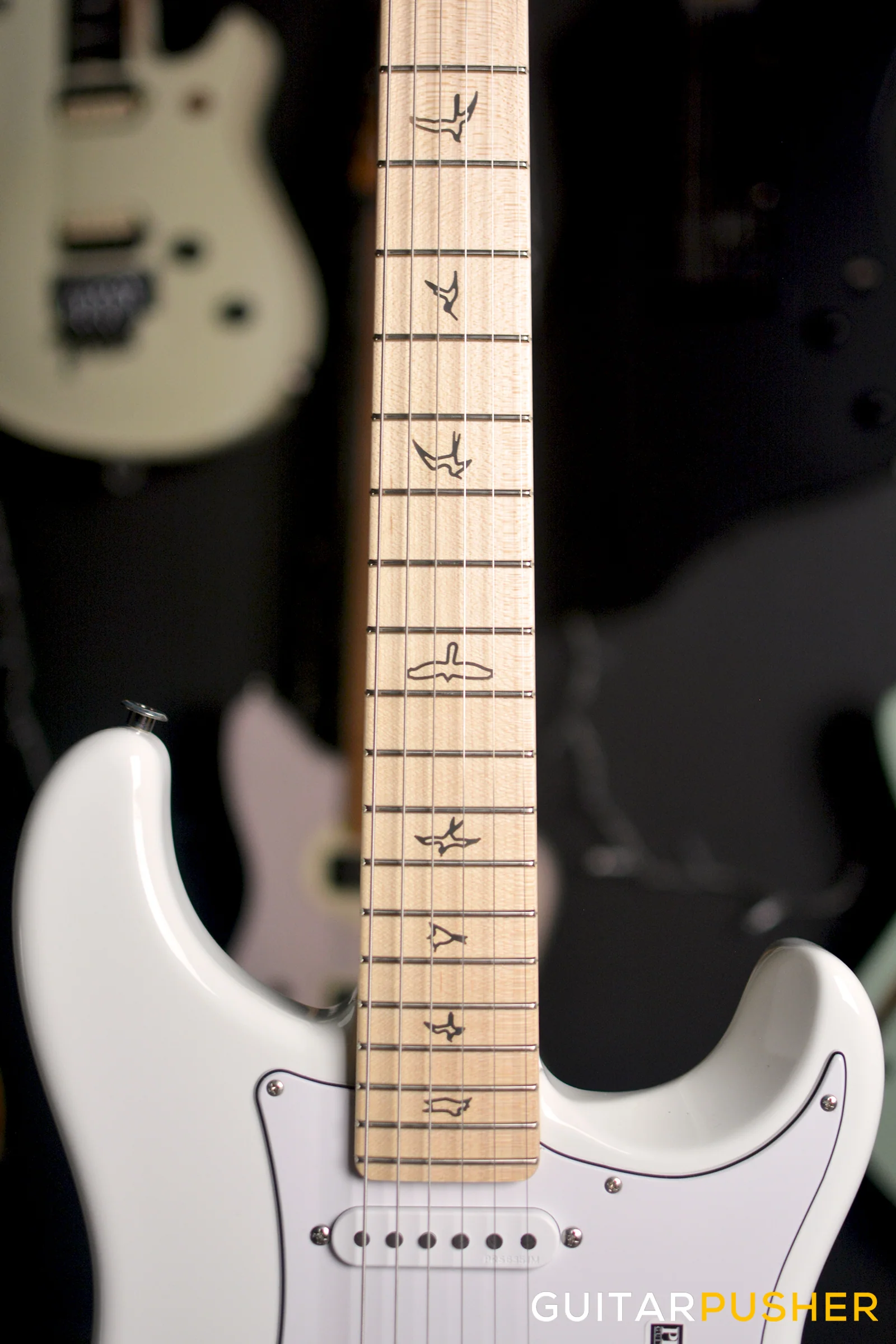 PRS Guitars USA Silver Sky w/ Maple Fingerboard - Frost - Image 7