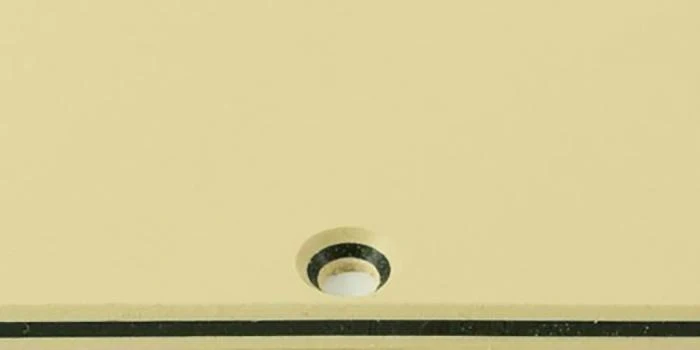 WD Custom Pickguard for Epiphone 2009 LP Standard - Image 3